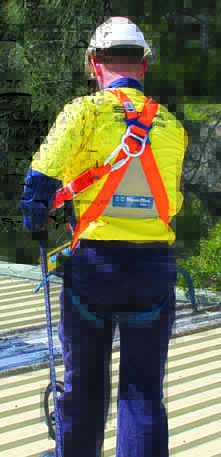 Safety Harnesses Side Image